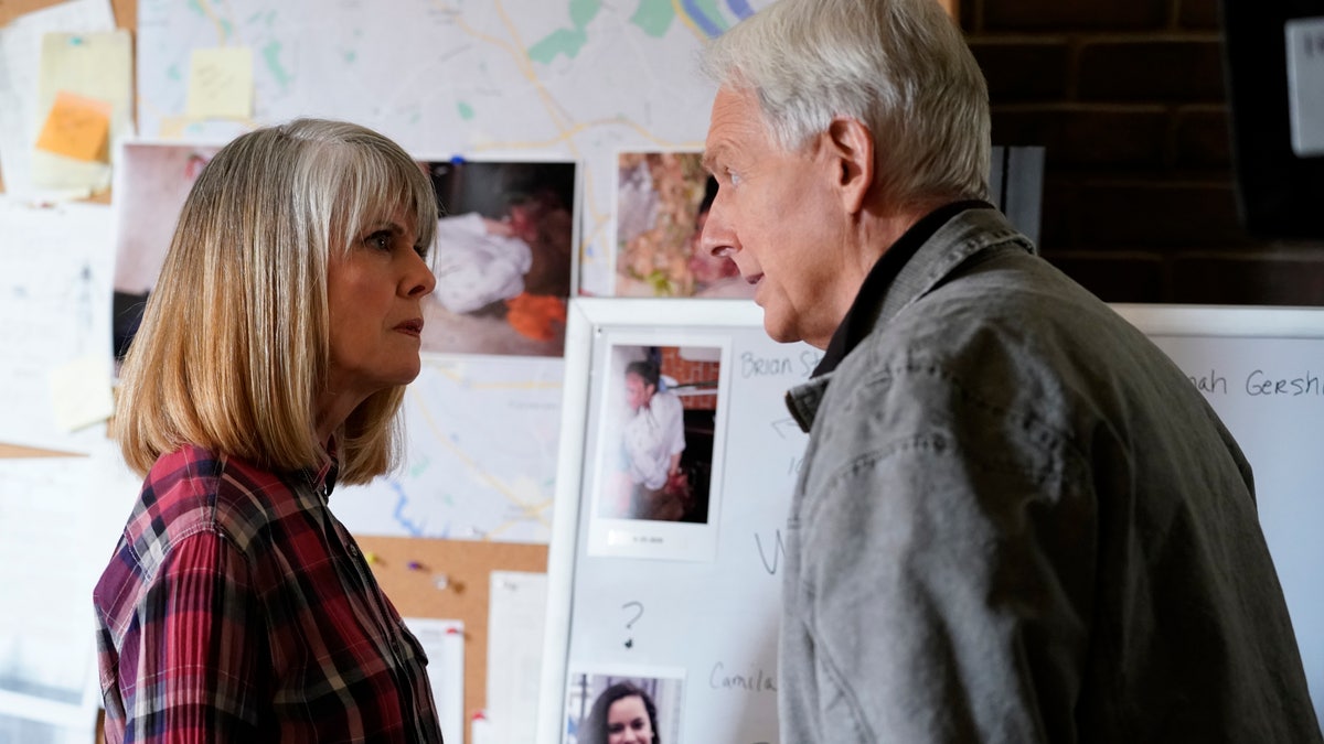 pam dawber and mark harmon in ncis