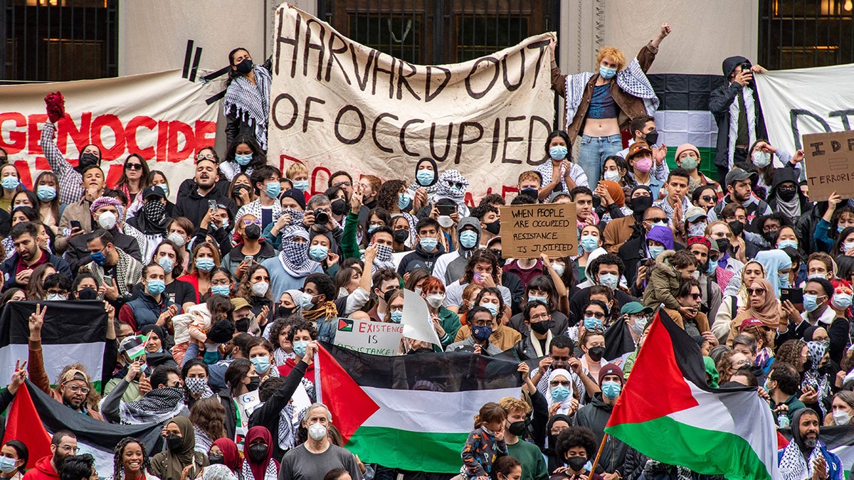 哈佛大学的亲巴勒斯坦抗议者