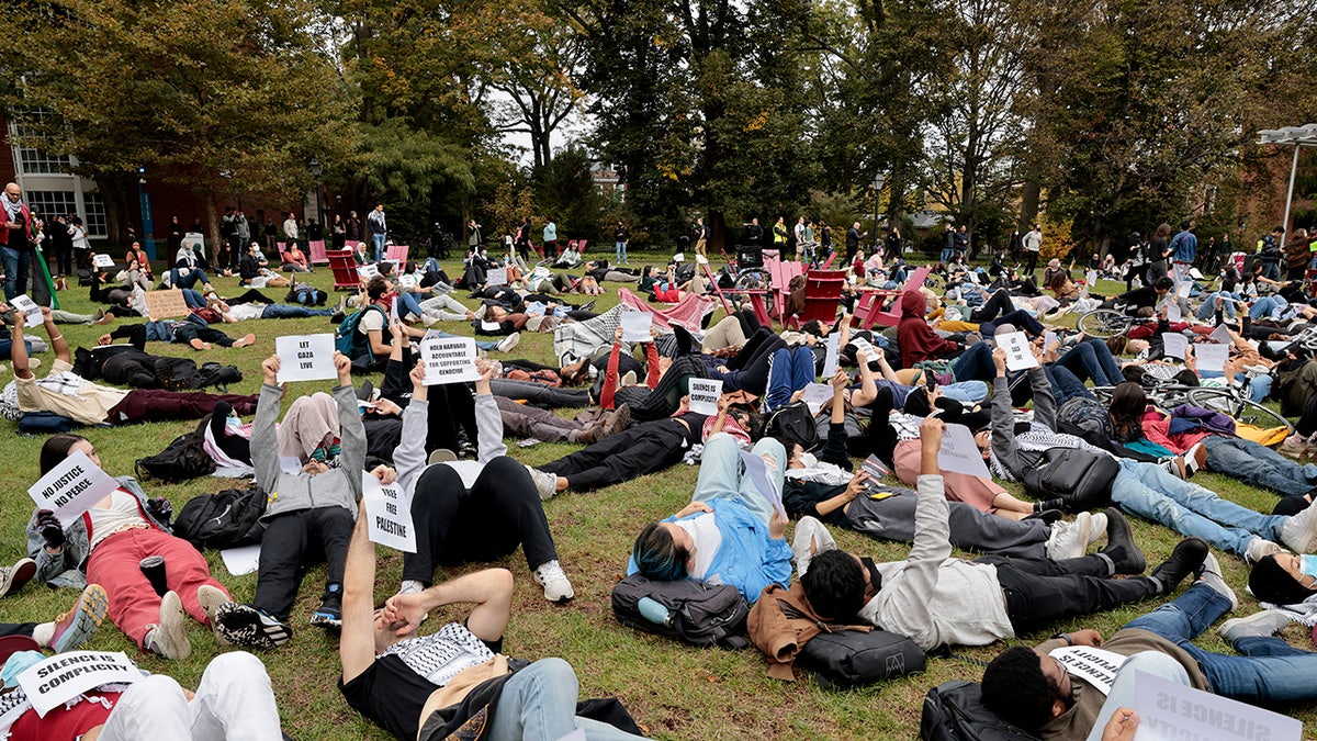 US Dept Of Education Opens Investigation Of Harvard Following   GettyImages 1733838588 