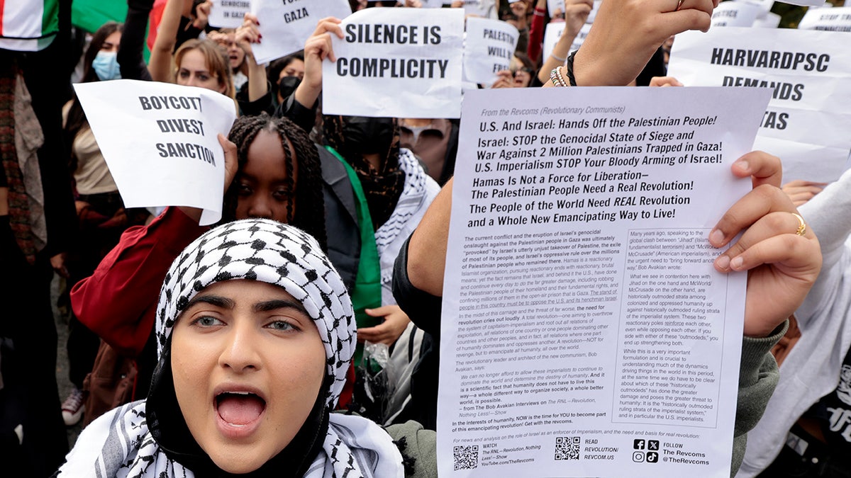 Pro-Palestinian protesters at Harvard