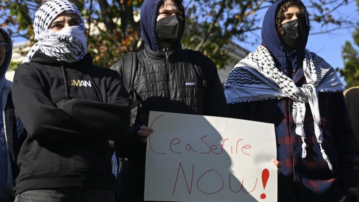 Pro-Palestine protest