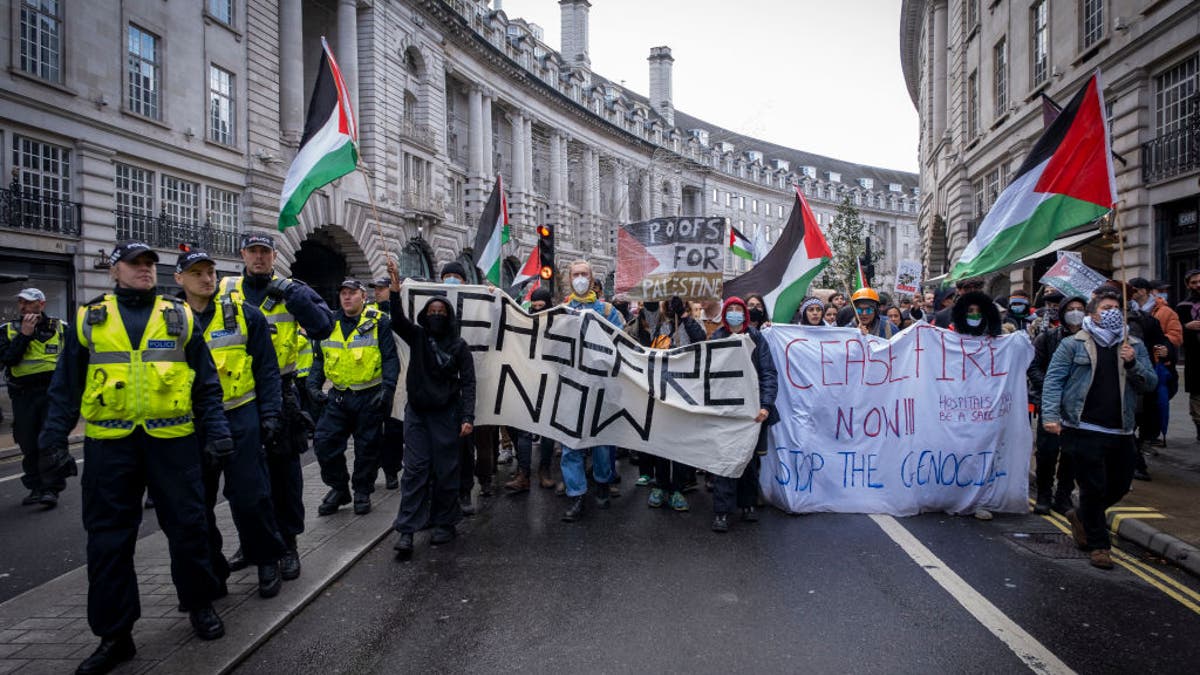 Pro-Palestinian protesters in London