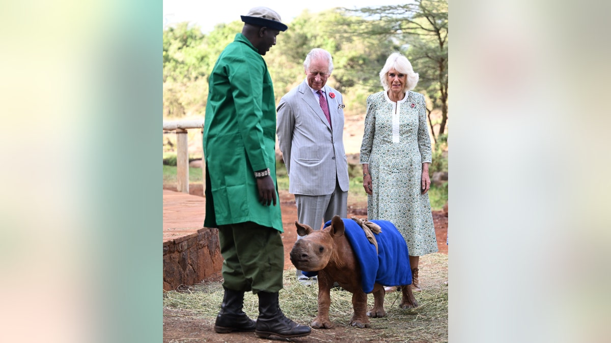 Charles e Camilla con un cucciolo di rinoceronte in Kenya
