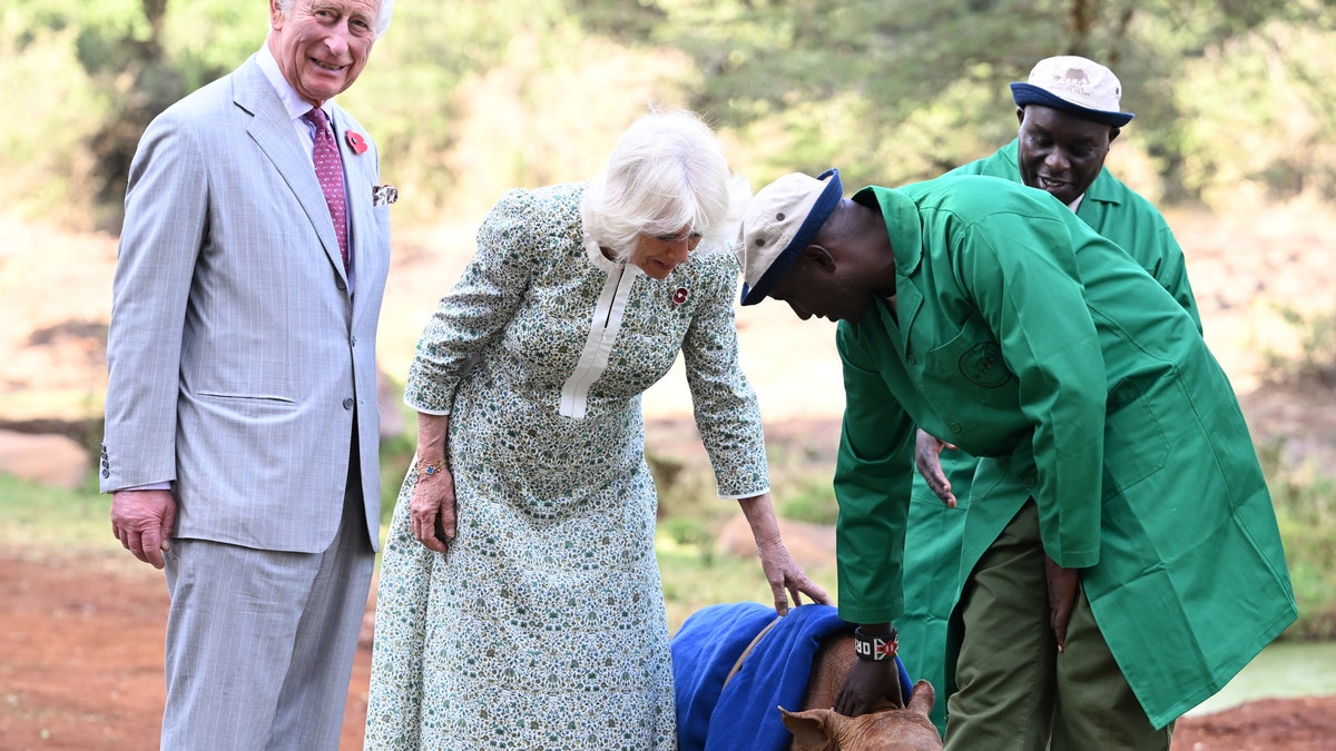 king charles queen camilla petting baby rhino in kenya