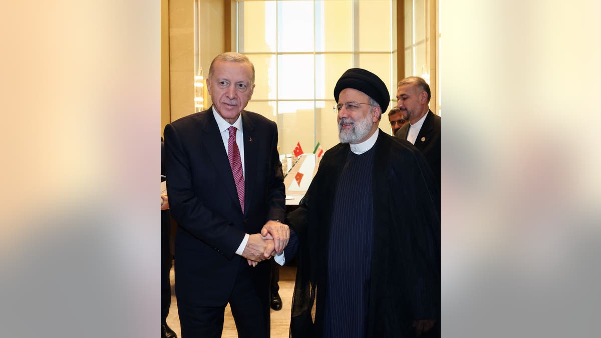 Erdogan and Raisi