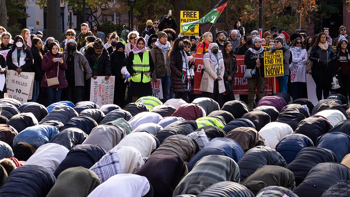 Anti-Israel Protesters Disrupt Black Friday Shopping To Call For ...