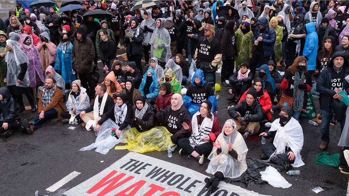 Pro-Palestinian Protesters Block Manhattan Bridge, Backing Up Traffic ...