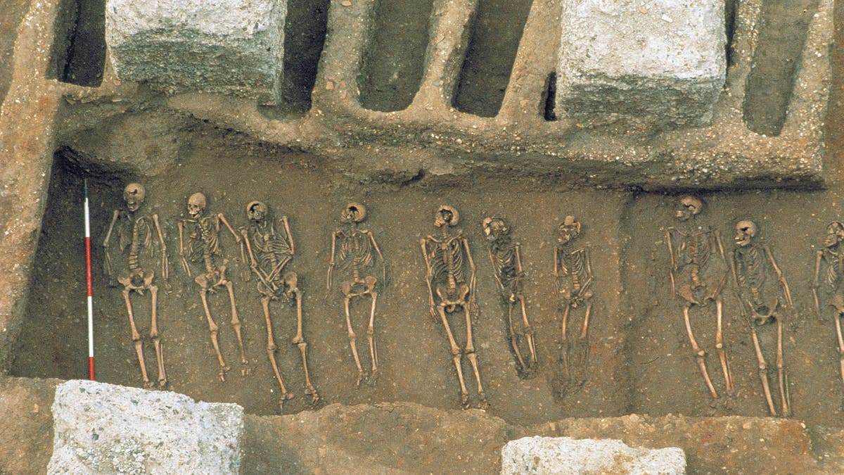Bones in plague gravesite