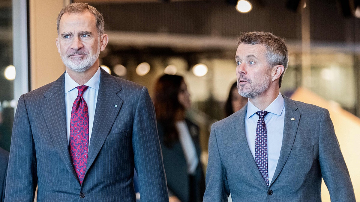 King Felipe and Prince Frederik walking side by side in matching grey suits