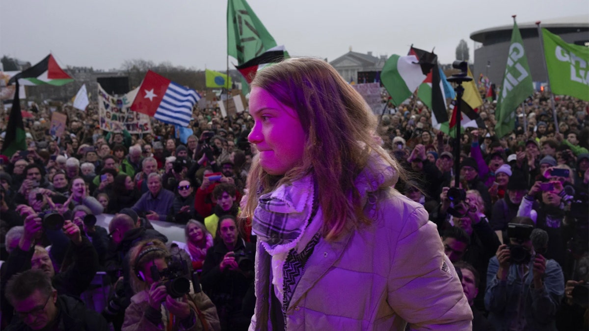 Greta Thunberg protesters