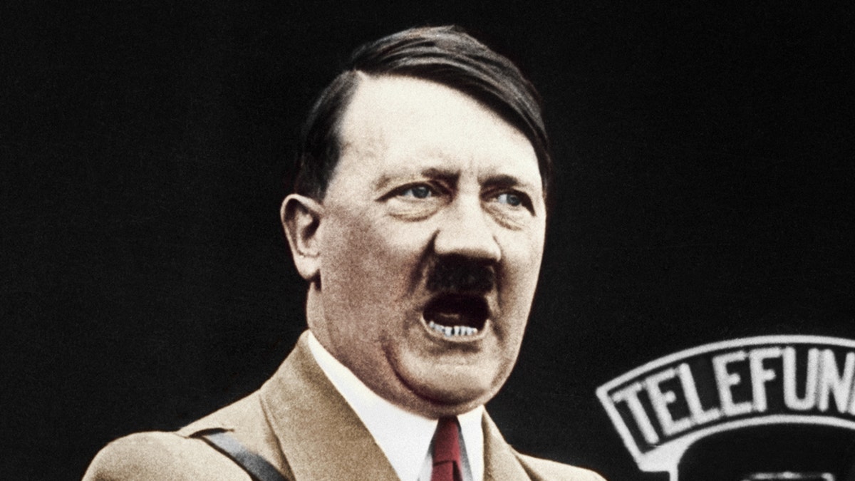 Adolf Hitler, Nazi Germany