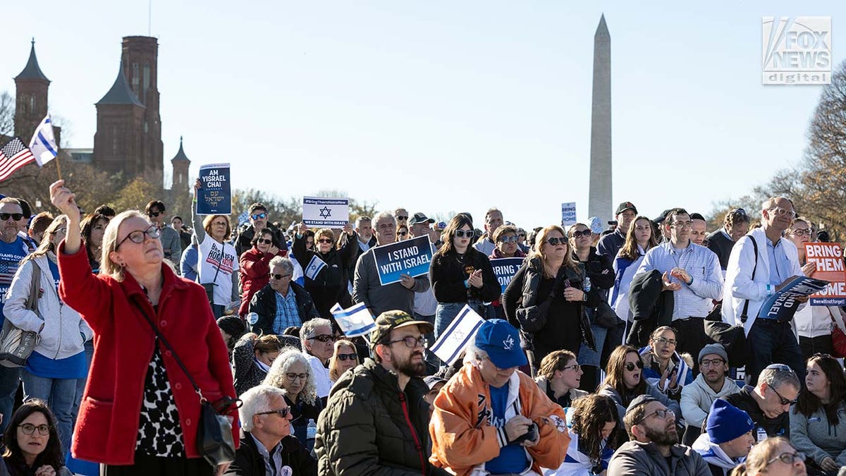 Thousands march in DC for Israel