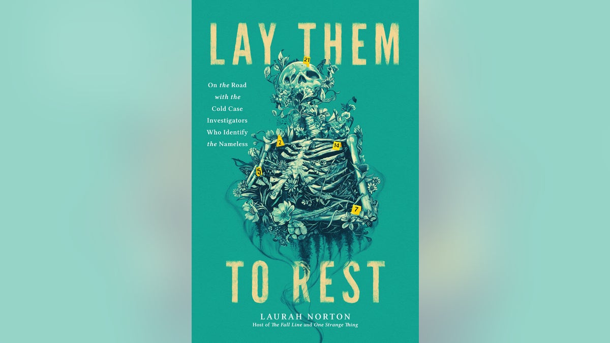 Book cover for Lay them to rest