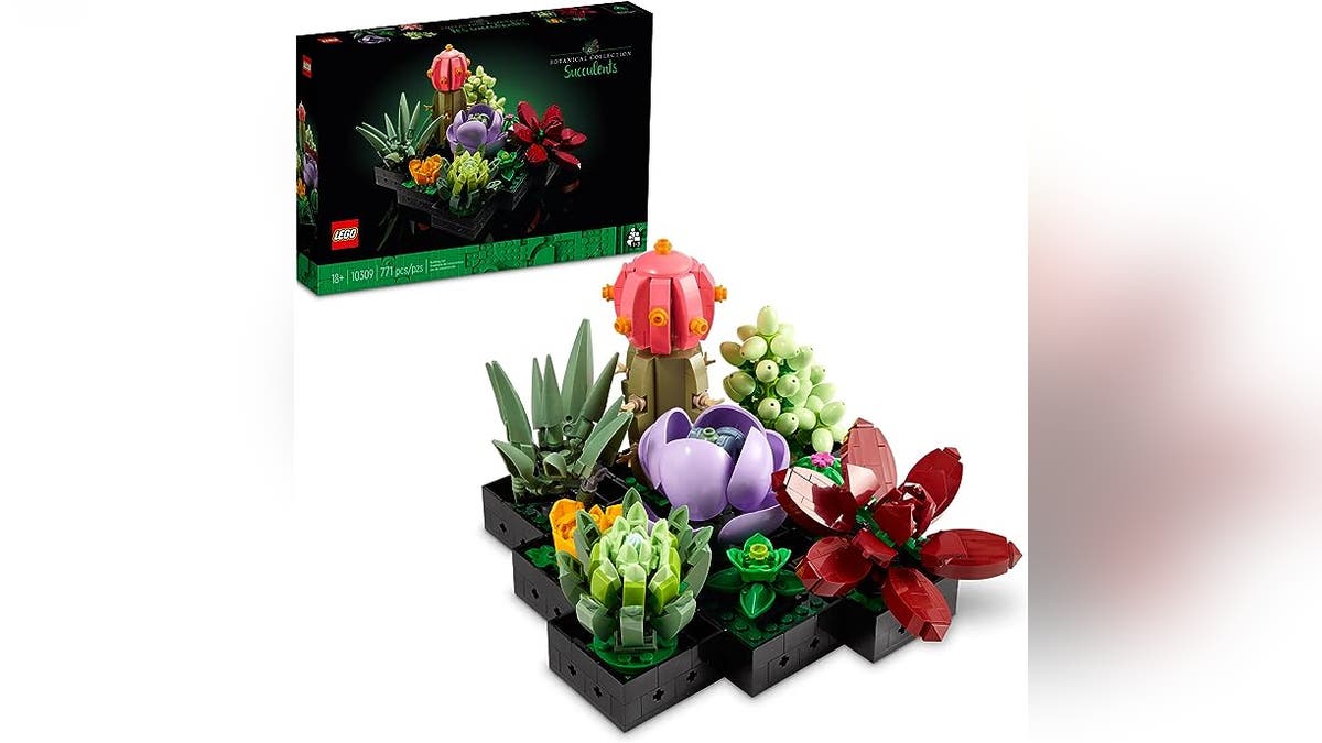 Lego Icons Succulents