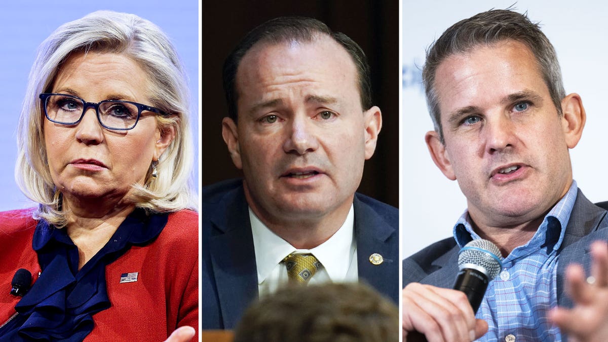 Liz Cheney, Mike Lee, Adam Kinzinger