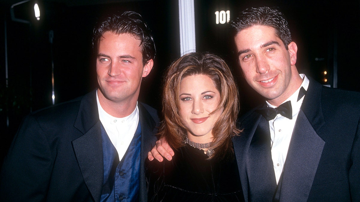 Matthew Perry and Friends costars