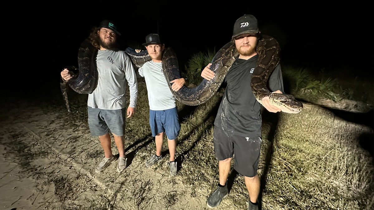 Florida men pose with near-record breaking Burmese python caught in Everglades