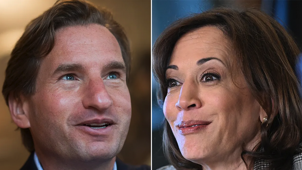 Rep. Dean Phillips and Vice President Kamala Harris