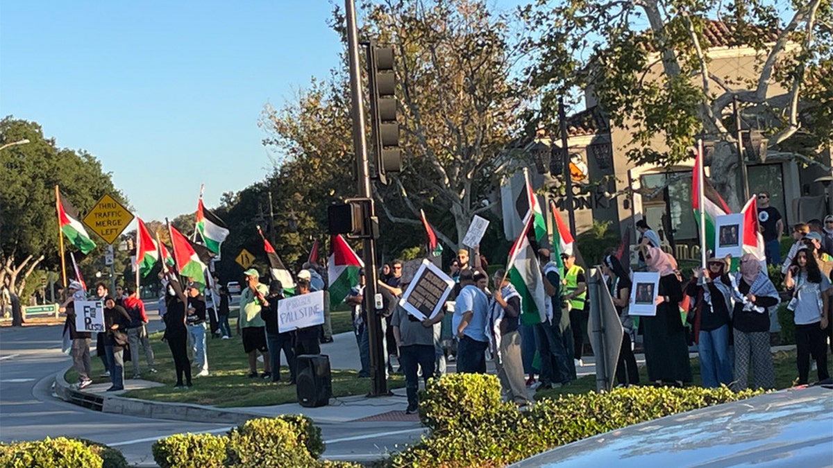 Pro-Palestinian protesters in California