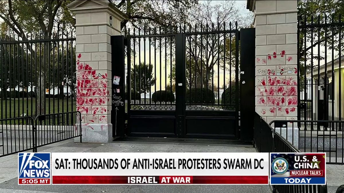 Anti-Israel protesters at White House