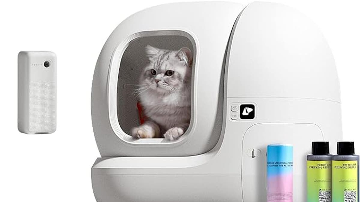 Try this self-cleaning kitty litter box
