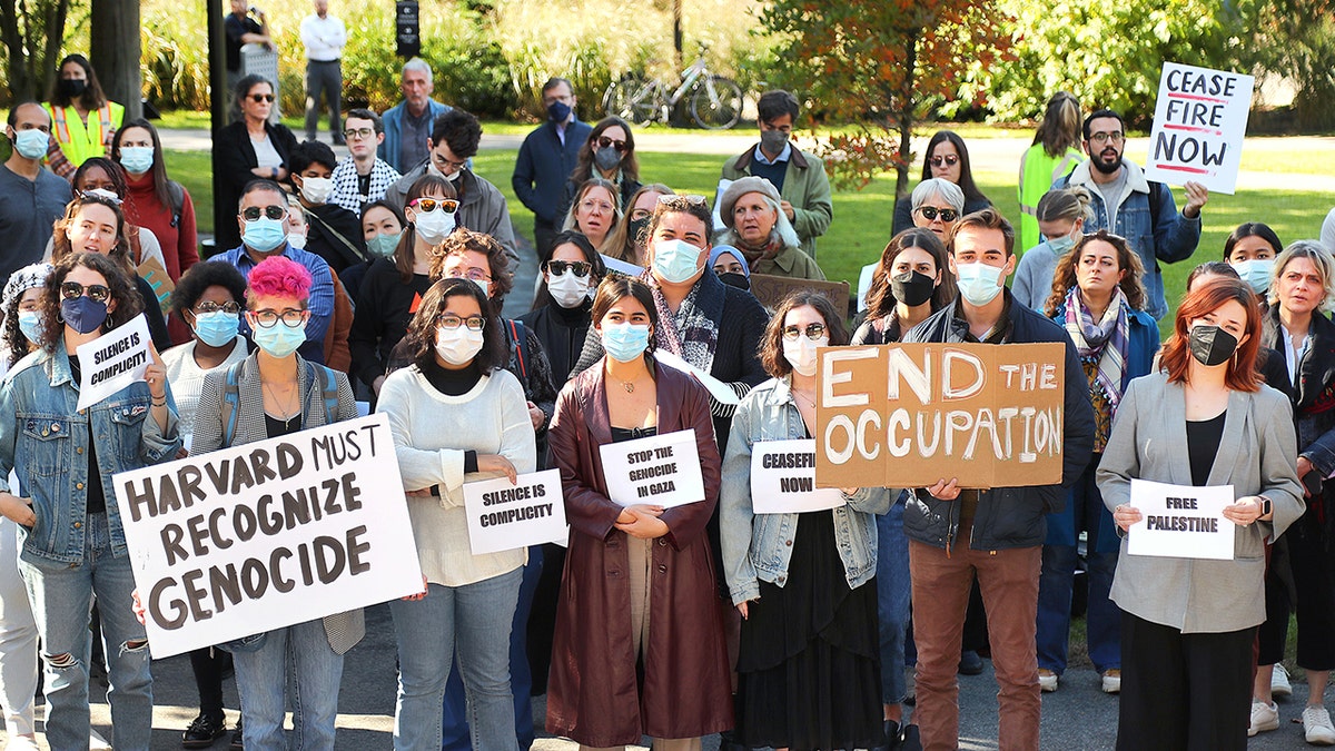 Harvard students protesting