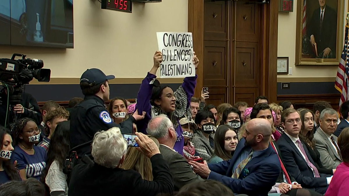 protesters interrupt antisemitism hearing