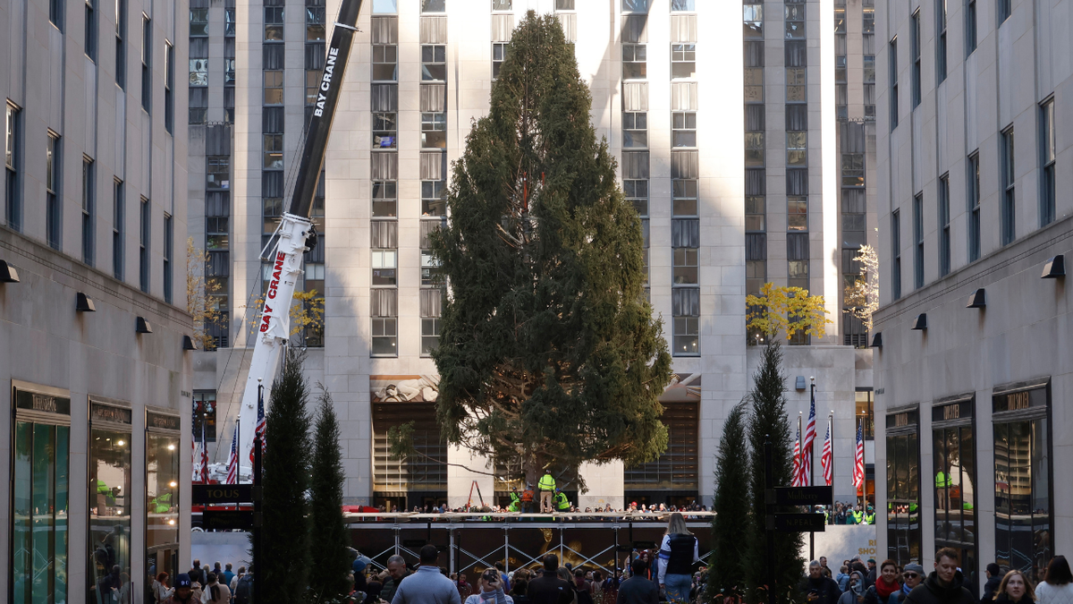 Rockefeller Center Christmas tree being put up