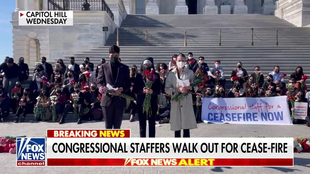 Congressional staffers walk out