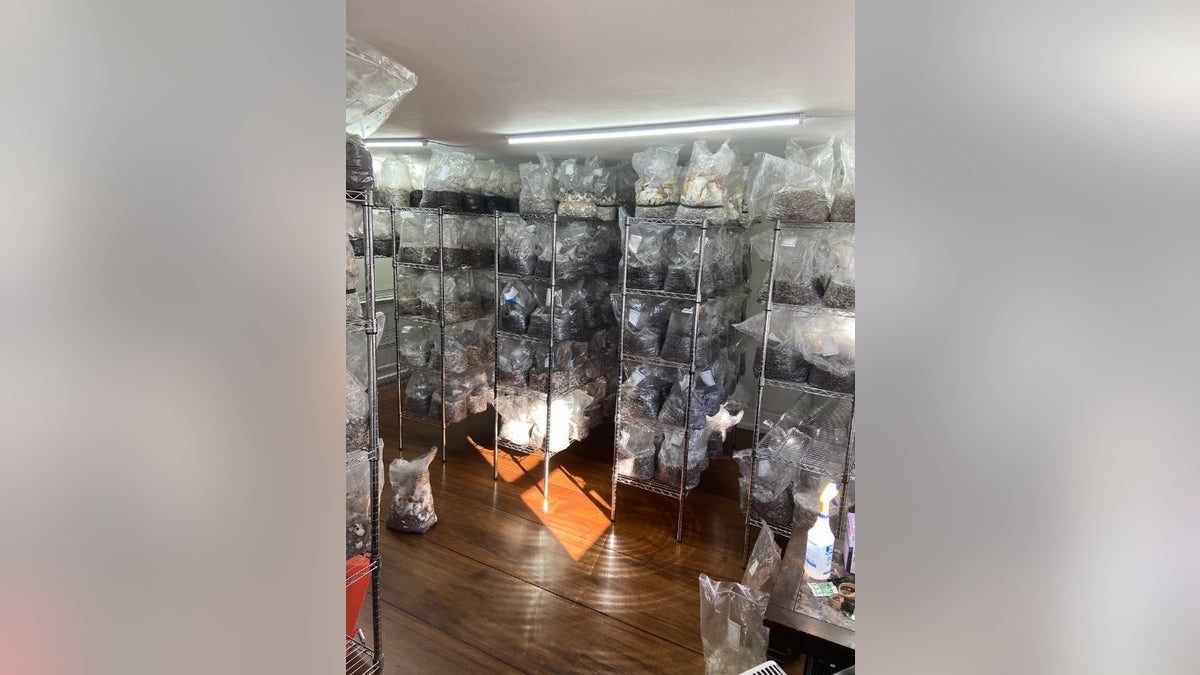 Shelves full of alleged illegal drugs were found in Westen Soule's home