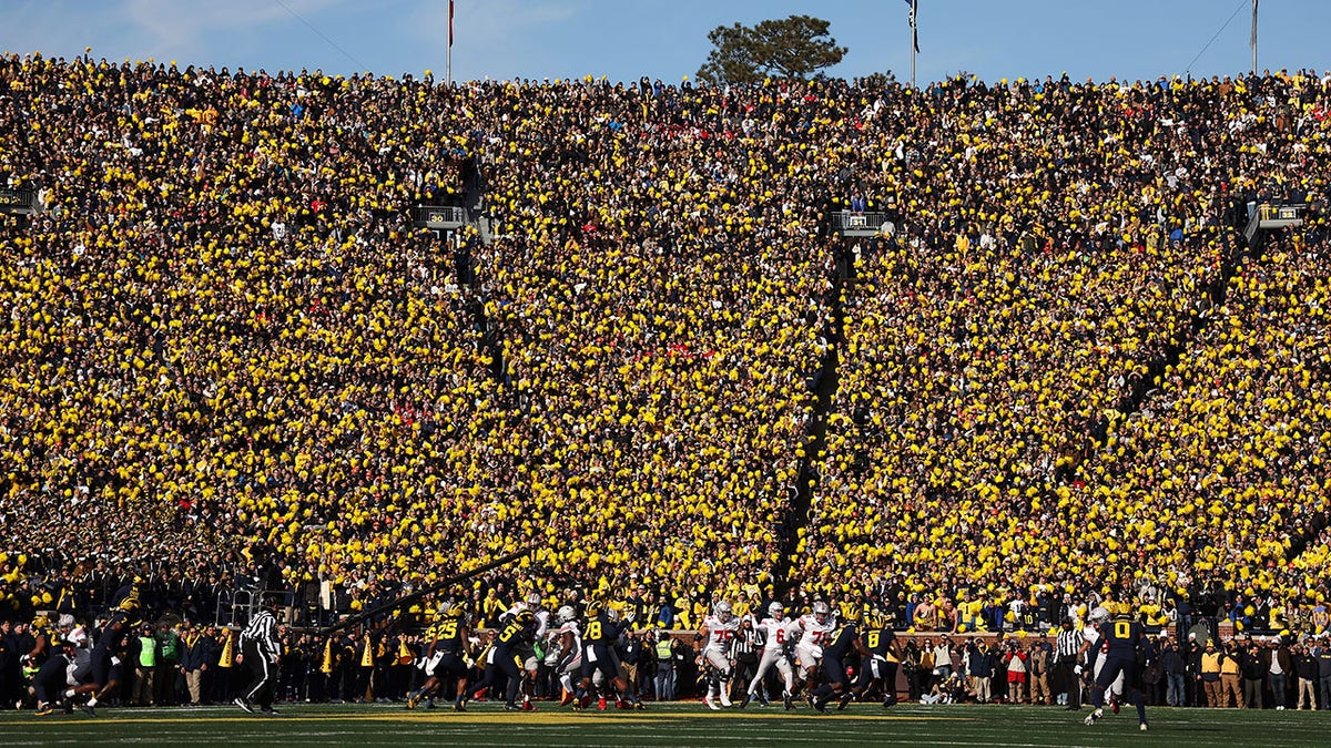 Crowd at Michigan