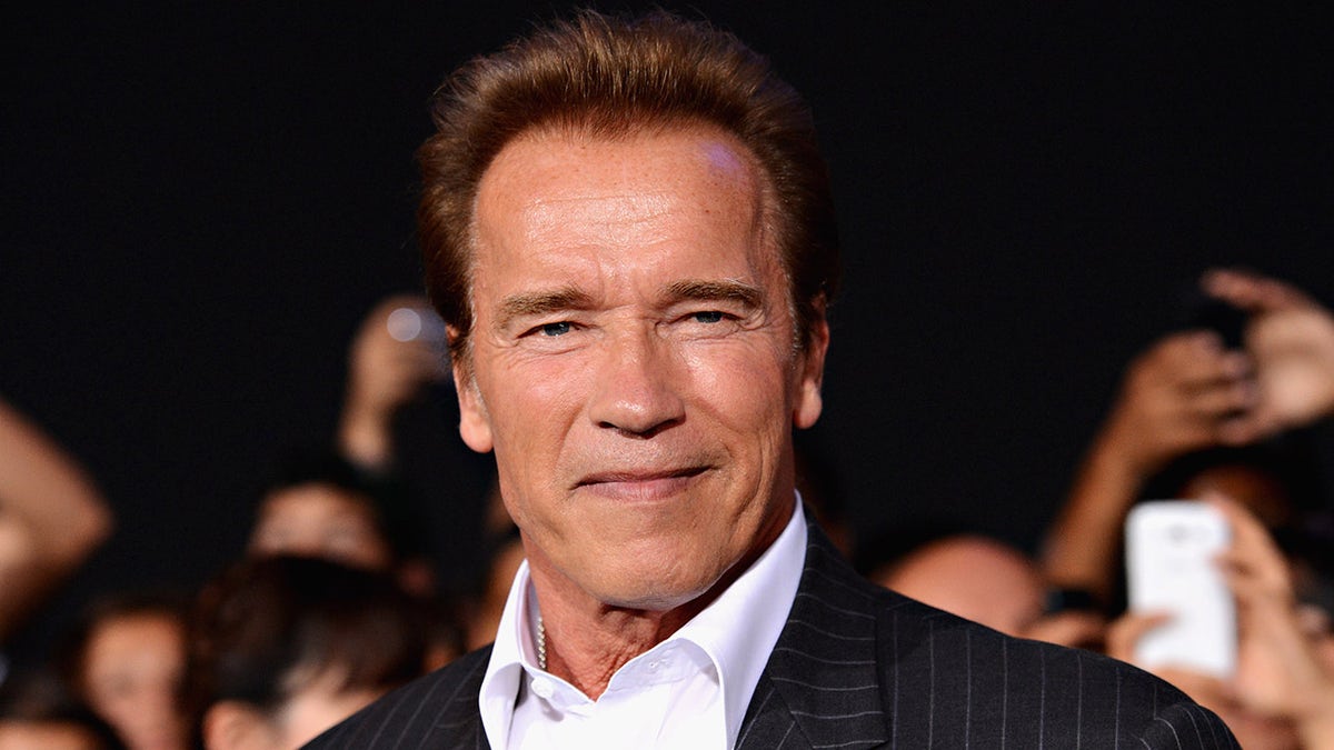 Arnold Schwarzenegger wears pinstripe suit