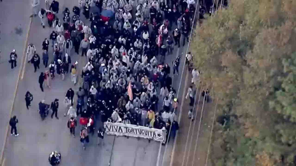 protesters marching