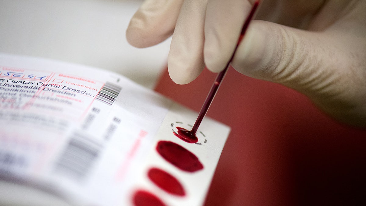Nurse drops blood sample onto white card