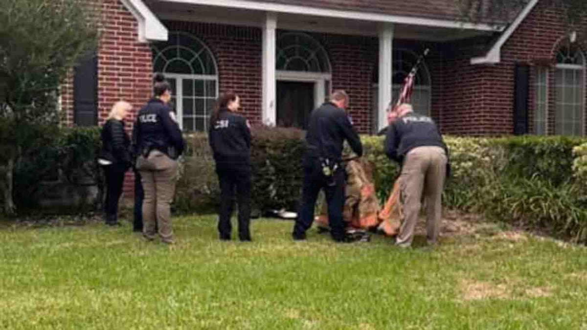 first responders surrounding bald eagles