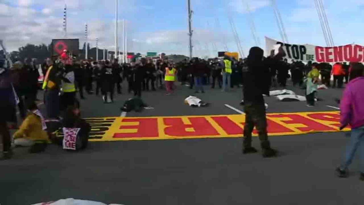 Pro Palestinian Protesters Block Bridges In Boston San Francisco   Bay Bridge Protest2 