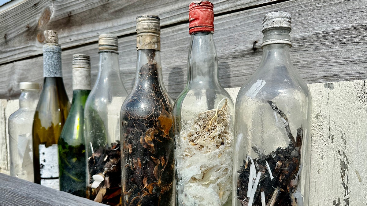 Eerie 'witch bottles' found along Gulf of Mexico leave one researcher's  wife scared