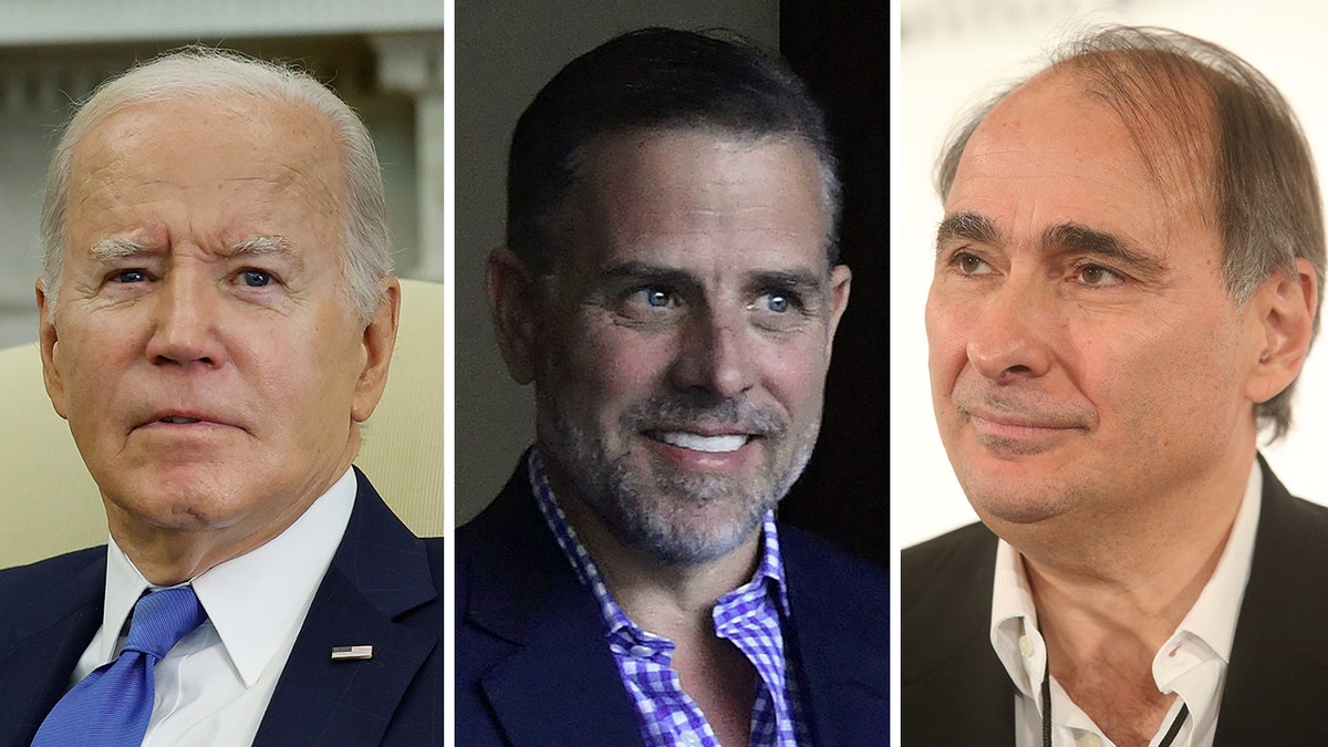 Joe Biden, Hunter Biden, David Axelrod