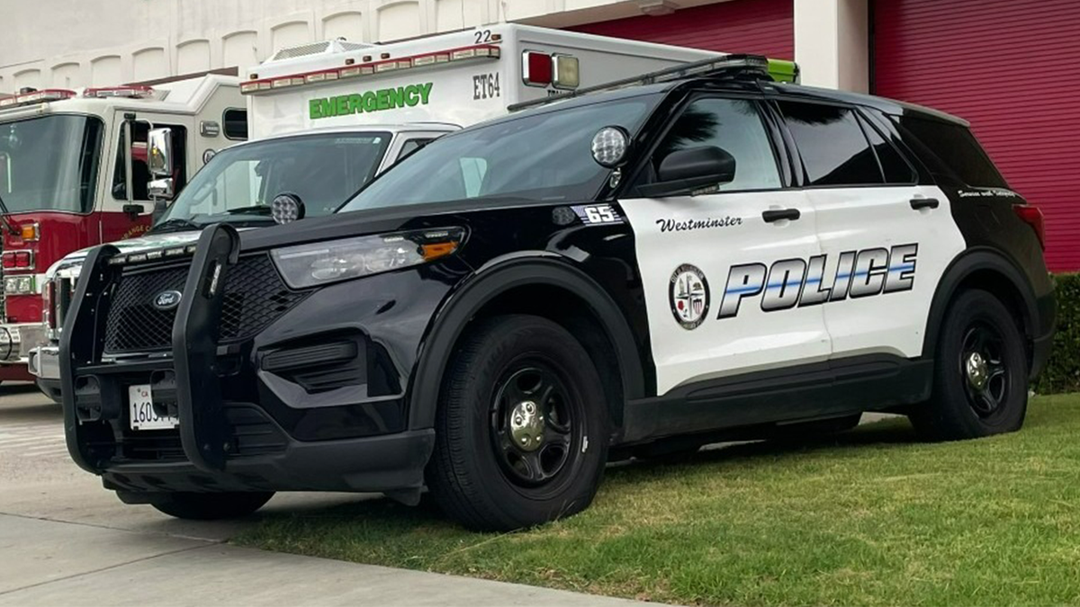 Westminster Police car