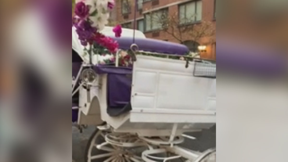 Damaged horse carriage NYC