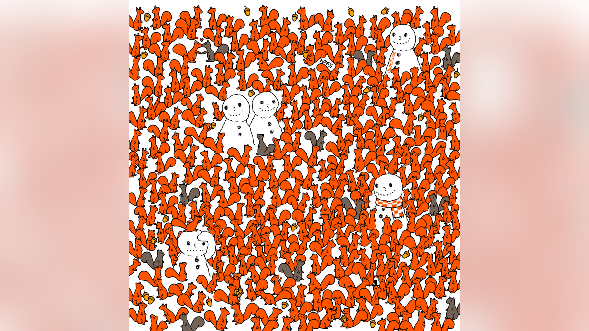 carrot squirrel brain teaser