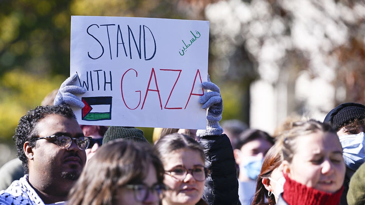 College protests israel