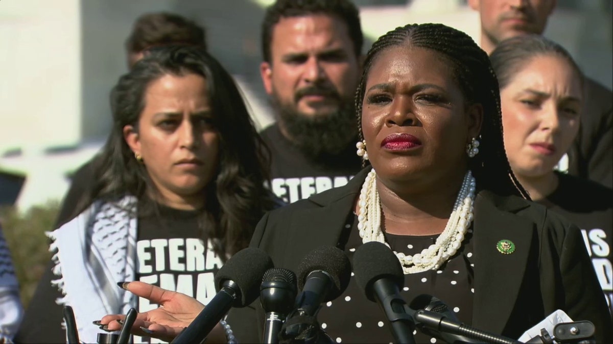 Cori Bush speaks at D.C. rally