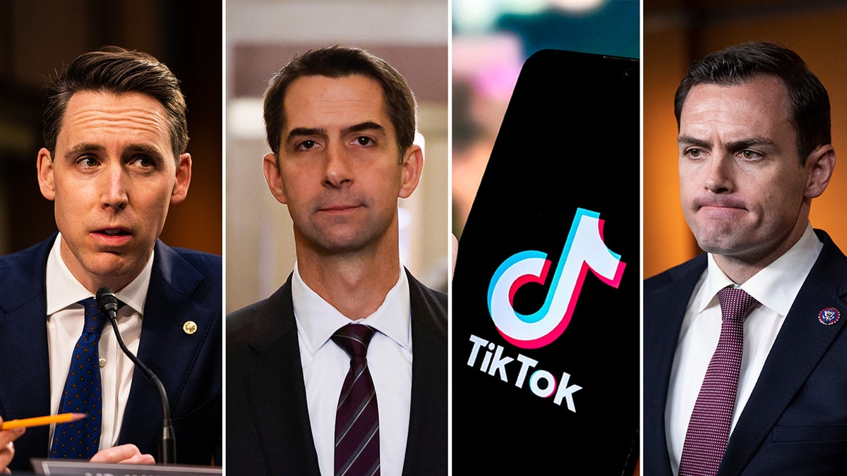 Hawley, Cotton, TikTok and Gallagher split image