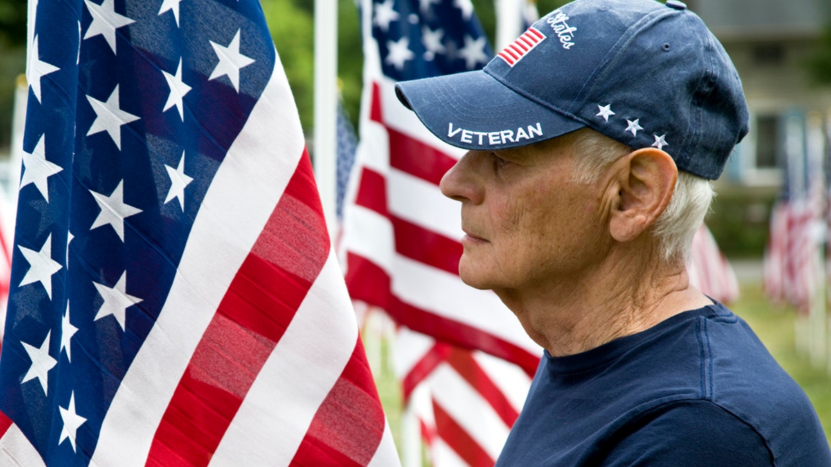 veteran side profile, flags in background