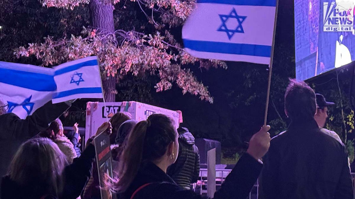 Protestors holding Israeli flags