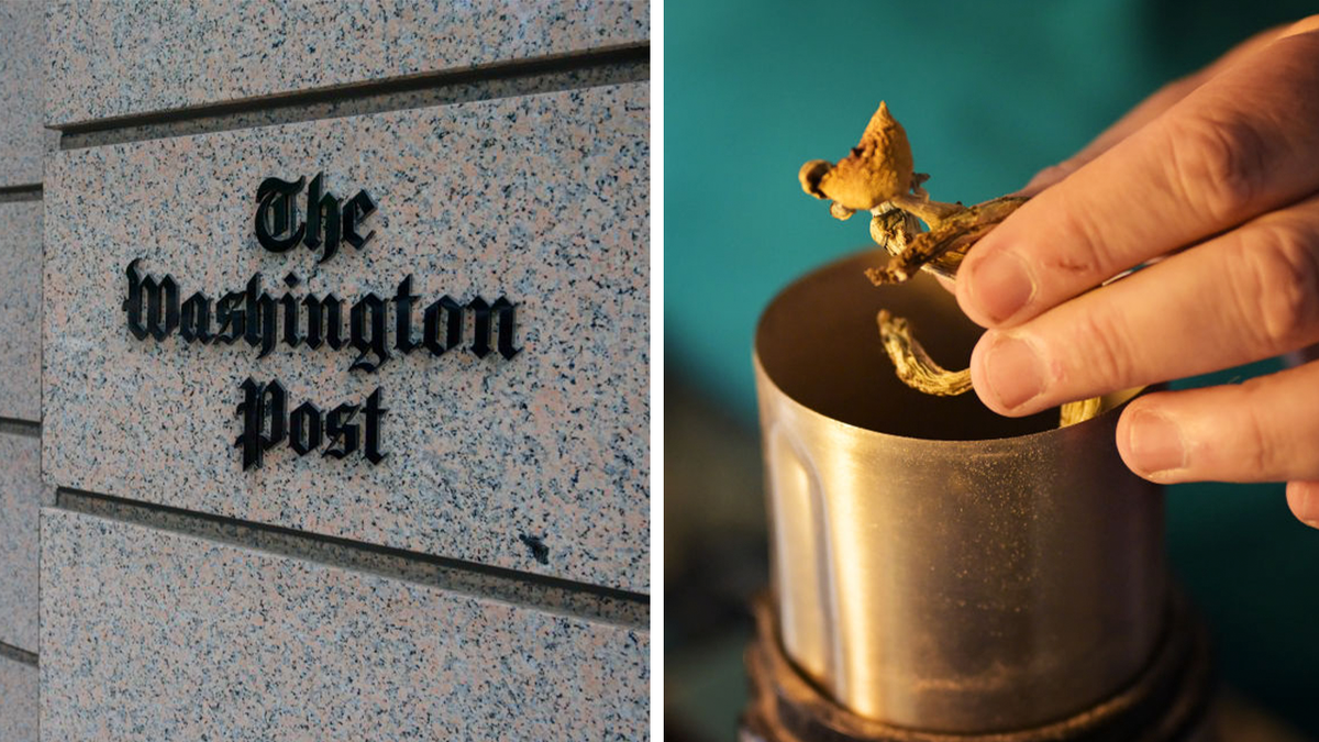 Washington Post Bldg. next to mushrooms