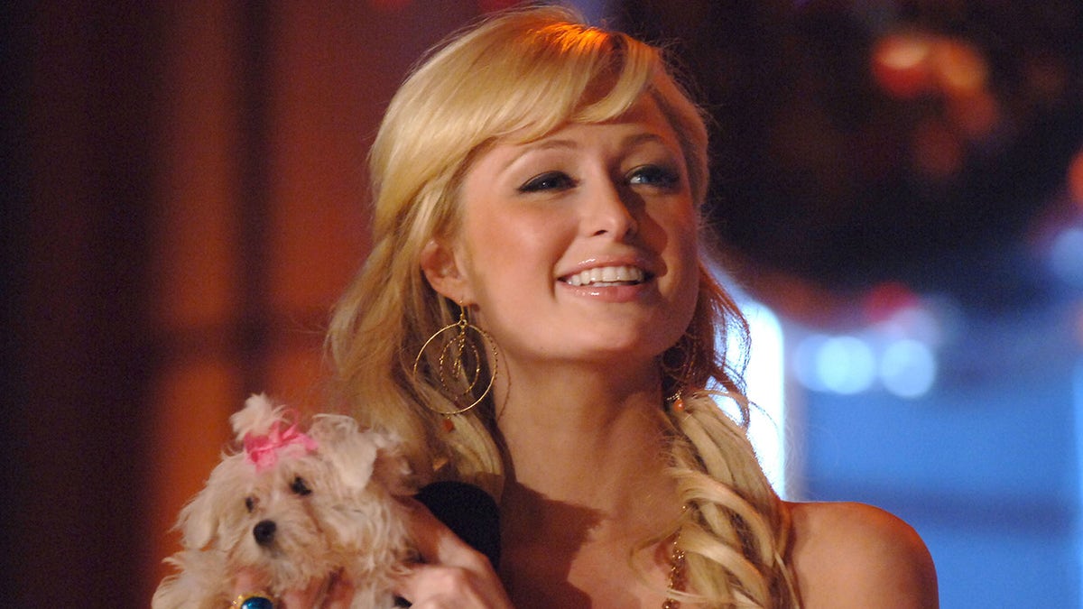 Paris Hilton smiles while holding a puppy who wore a pink hair bow