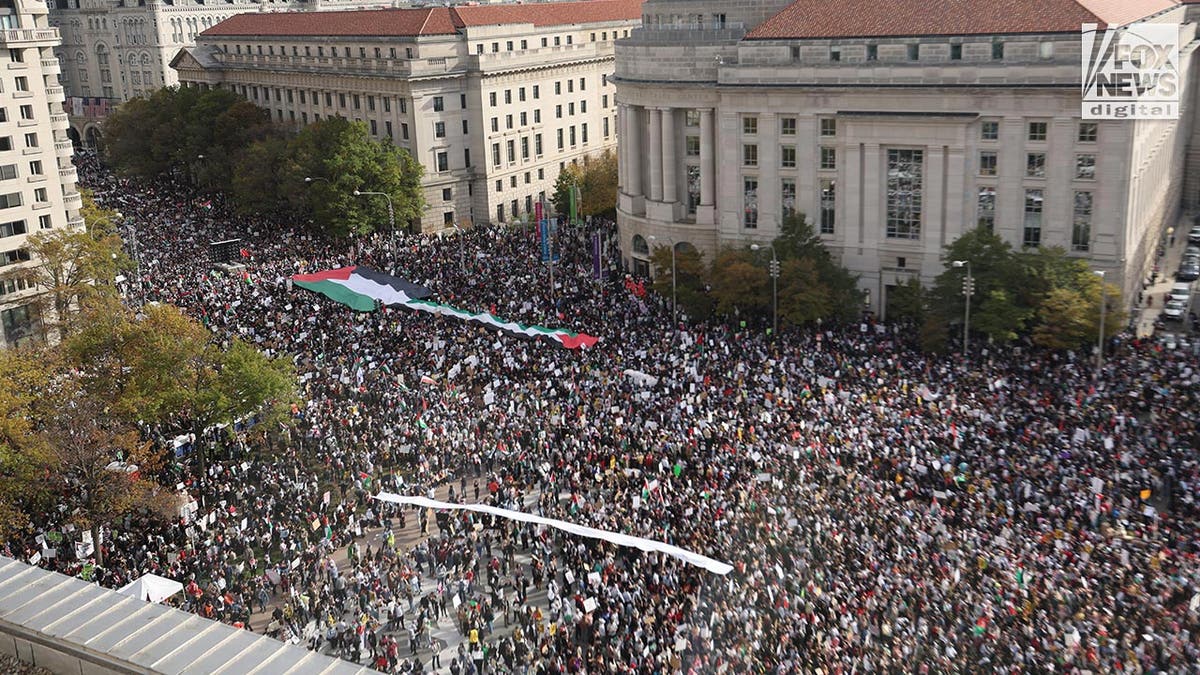 Just 1 Arrest After Pro Palestinian DC Protest Spurs Acts Of Vandalism   Pro Palestine Rally DC 49 