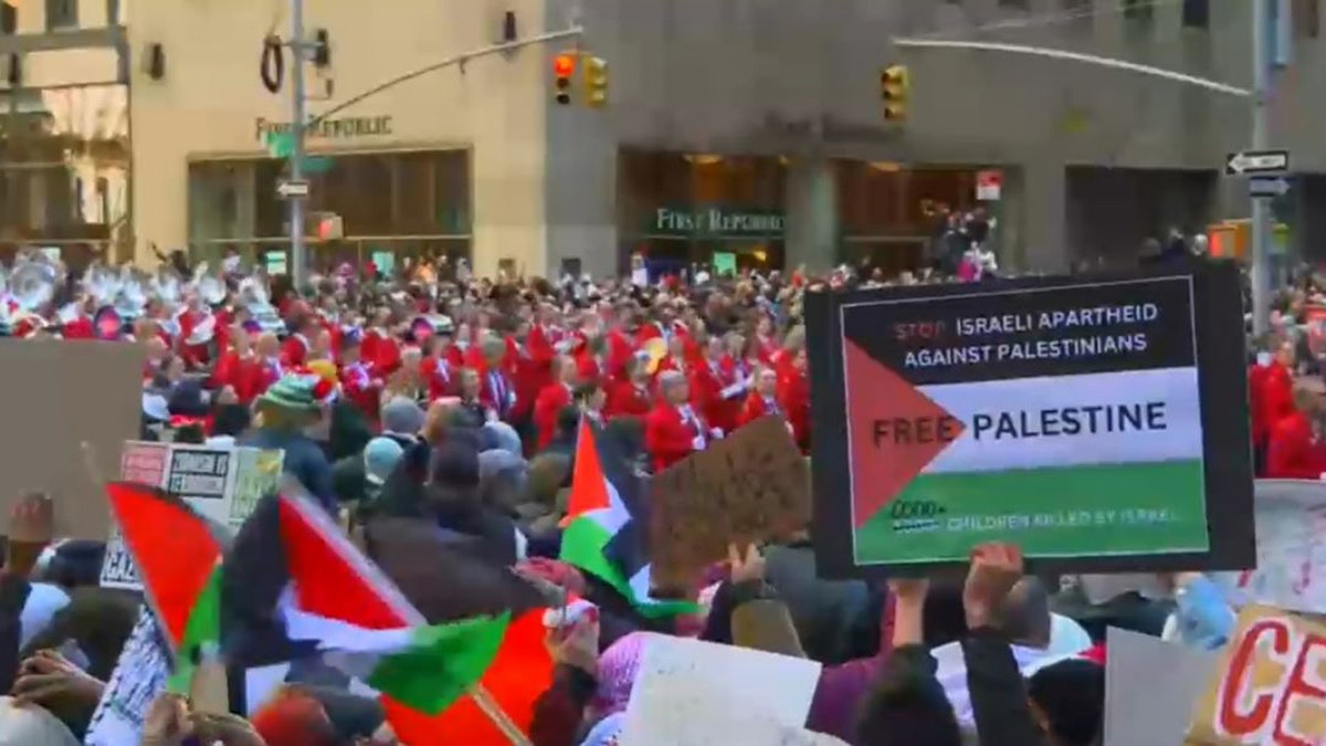 Pro-Palestinian Protesters Disrupt Macy's Thanksgiving Day Parade In ...